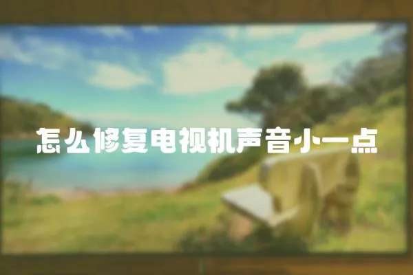 怎么修復(fù)電視機(jī)聲音小一點(diǎn)