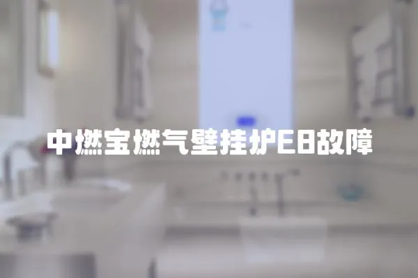 中燃寶燃氣壁掛爐E8故障