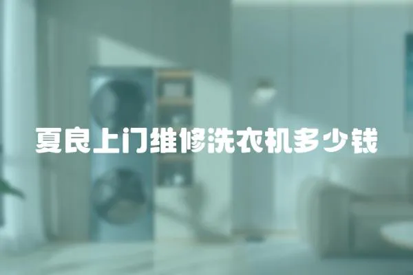 夏良上門維修洗衣機多少錢