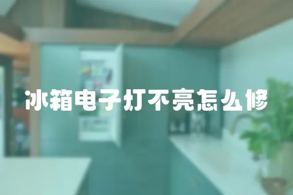 冰箱電子燈不亮怎么修