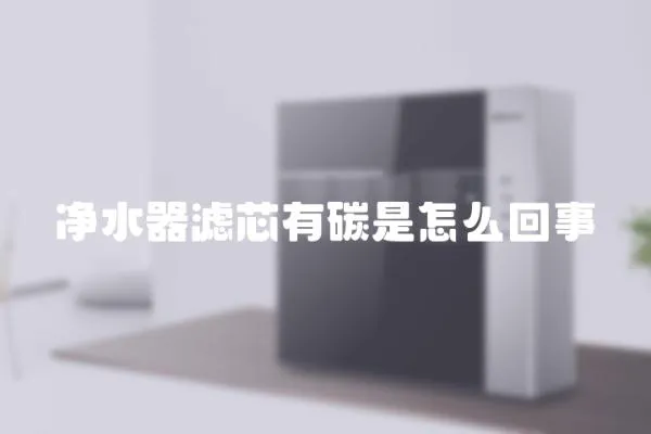 凈水器濾芯有碳是怎么回事