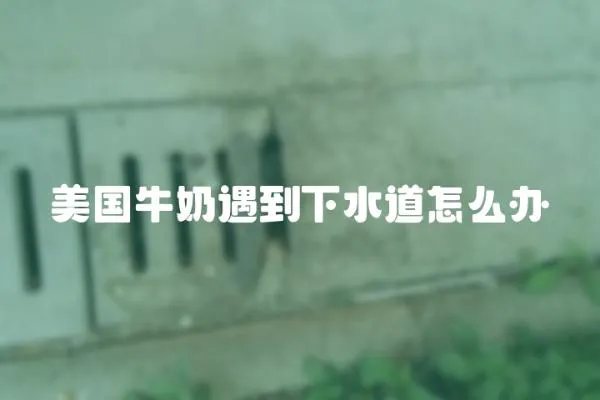 美國牛奶遇到下水道怎么辦