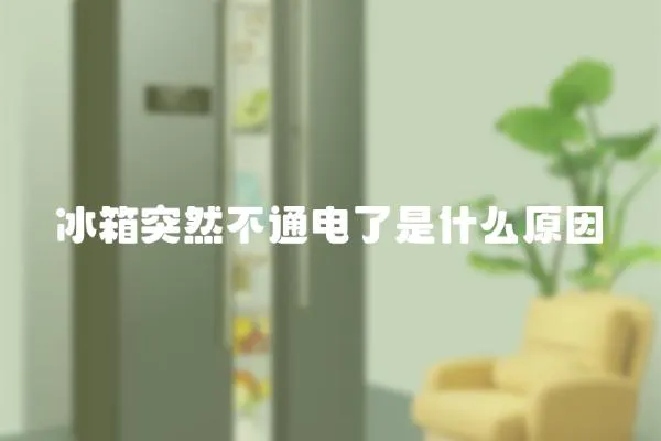 冰箱突然不通電了是什么原因