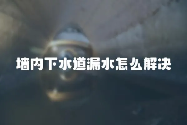 墻內下水道漏水怎么解決