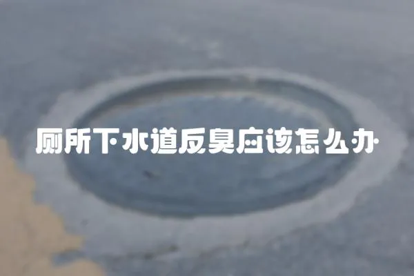 廁所下水道反臭應該怎么辦
