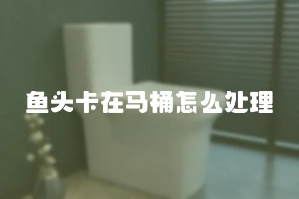 魚頭卡在馬桶怎么處理