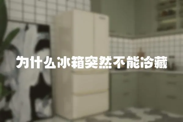 為什么冰箱突然不能冷藏