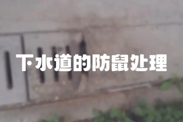 下水道的防鼠處理