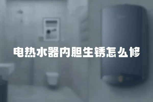 電熱水器內膽生銹怎么修