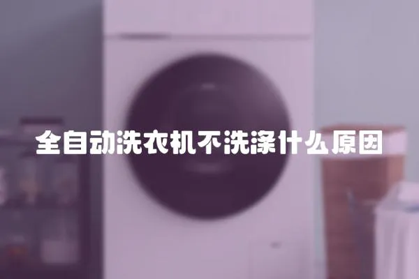 全自動(dòng)洗衣機(jī)不洗滌什么原因