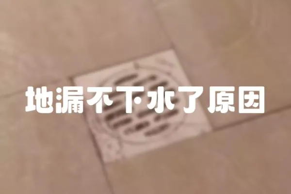 地漏不下水了原因