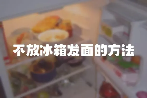 不放冰箱發面的方法