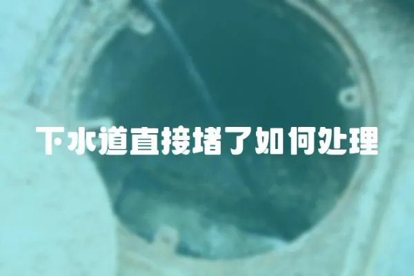 下水道直接堵了如何處理