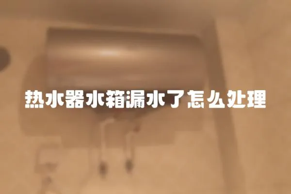 熱水器水箱漏水了怎么處理