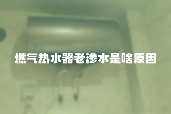 燃氣熱水器老滲水是啥原因
