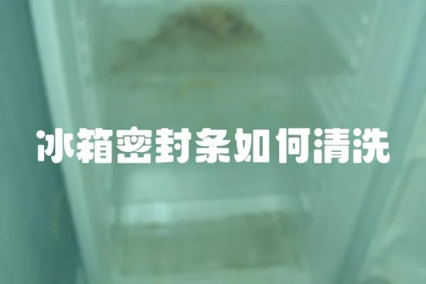 冰箱密封條如何清洗