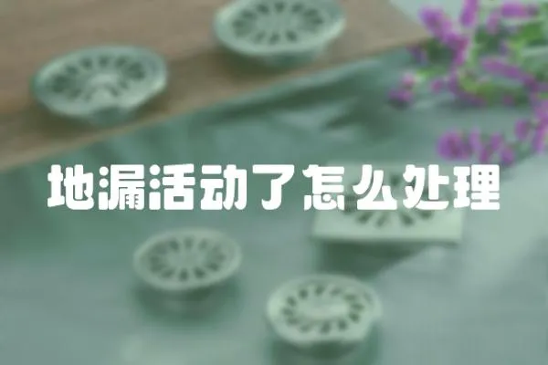 地漏活動了怎么處理