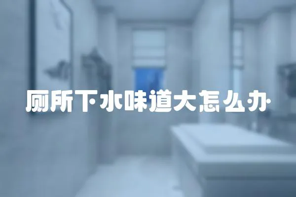 廁所下水味道大怎么辦