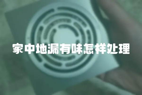 家中地漏有味怎樣處理