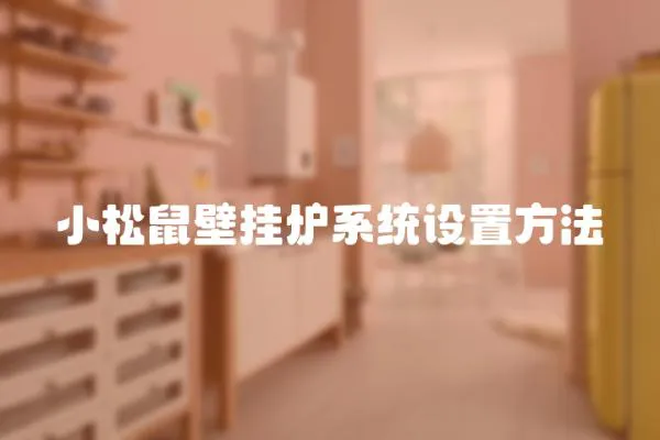 小松鼠壁掛爐系統設置方法