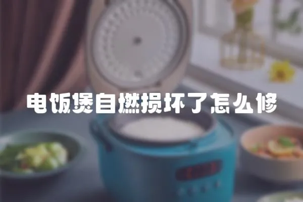 電飯煲自燃損壞了怎么修