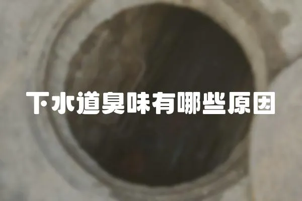 下水道臭味有哪些原因