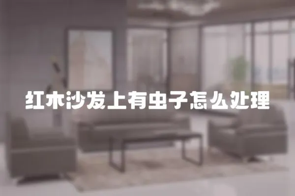 紅木沙發上有蟲子怎么處理