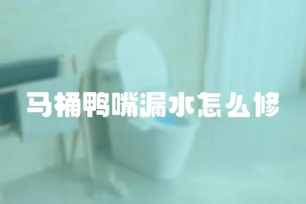 馬桶鴨嘴漏水怎么修