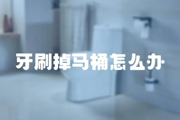 牙刷掉馬桶怎么辦