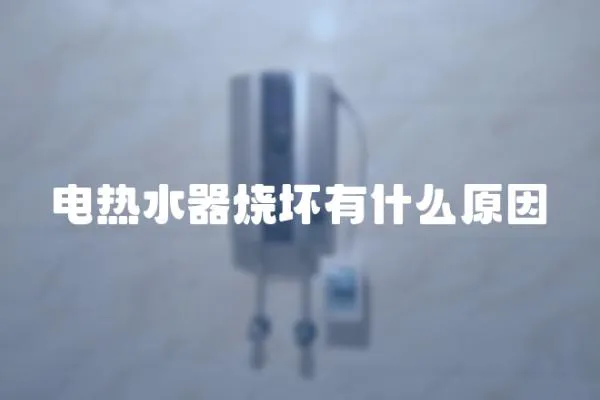 電熱水器燒壞有什么原因