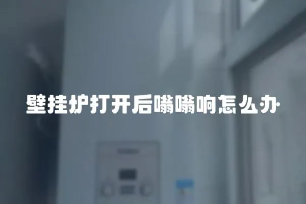 壁掛爐打開后嗡嗡響怎么辦