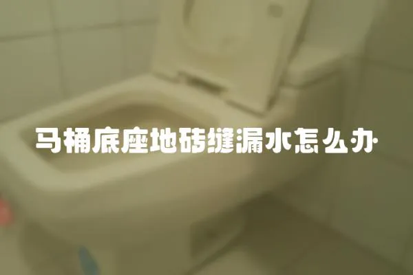 馬桶底座地磚縫漏水怎么辦