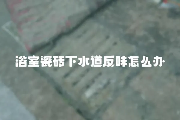 浴室瓷磚下水道反味怎么辦