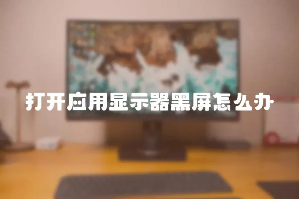 打開應用顯示器黑屏怎么辦