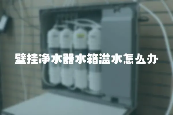 壁掛凈水器水箱溢水怎么辦