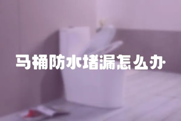 馬桶防水堵漏怎么辦