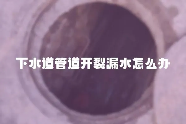 下水道管道开裂漏水怎么办