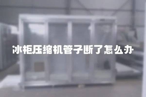 冰柜壓縮機管子斷了怎么辦