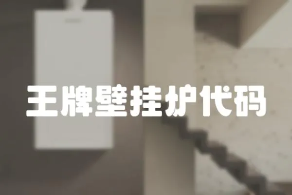 王牌壁掛爐代碼