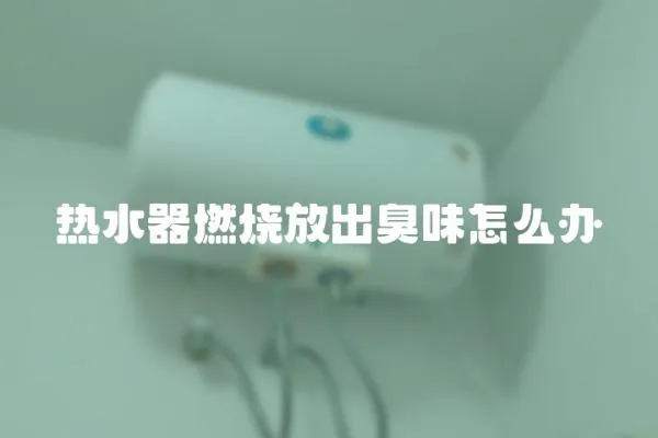 熱水器燃燒放出臭味怎么辦