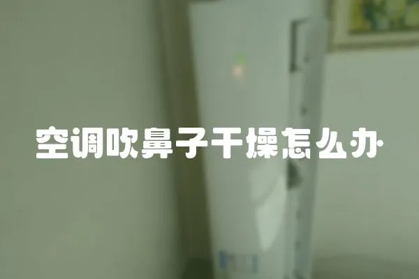 空調(diào)吹鼻子干燥怎么辦