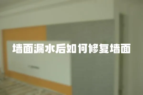 墻面漏水后如何修復墻面
