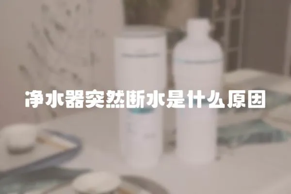 凈水器突然斷水是什么原因