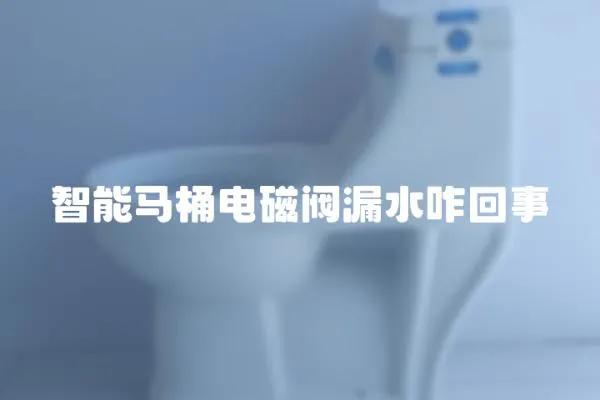 智能馬桶電磁閥漏水咋回事