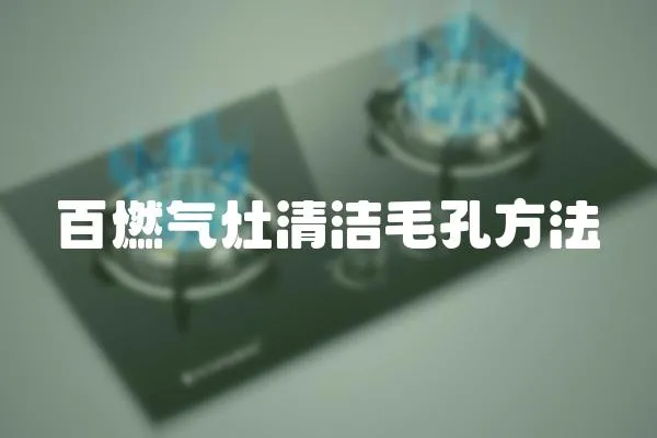 百燃氣灶清潔毛孔方法