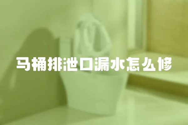 馬桶排泄口漏水怎么修
