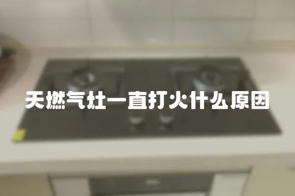 天燃?xì)庠钜恢贝蚧鹗裁丛?></a></div>
                    <div   id=