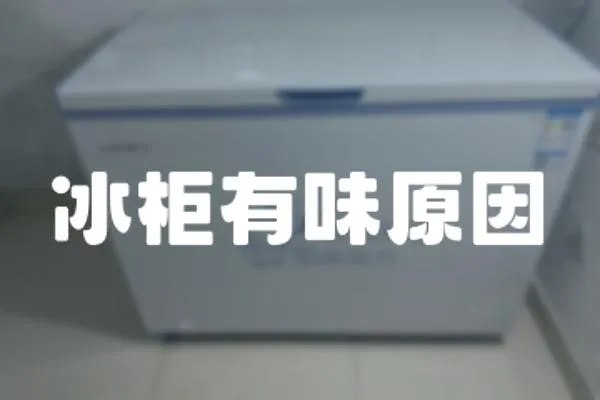 冰柜有味原因