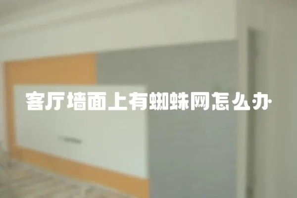客廳墻面上有蜘蛛網怎么辦