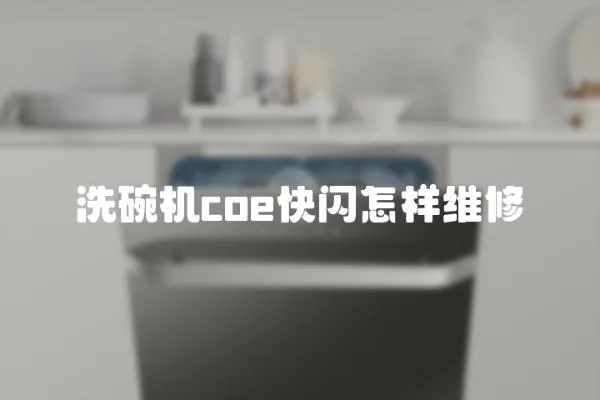 洗碗机coe快闪怎样维修